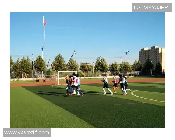 全球足球巨星势力版图解析谁才是真正的绿茵主宰者