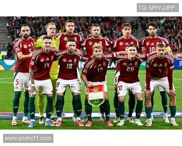 波黑足球明星的崛起与挑战 解析他们如何影响世界足球格局